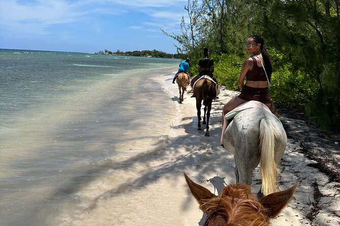 Horseback Ride and Swim Tour In Montego Bay - From Montego Bay to Sand N’ Saddle