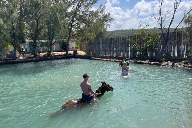 Horseback Ride and Swim Tour In Montego Bay - Entering the Caribbean Sea on horseback