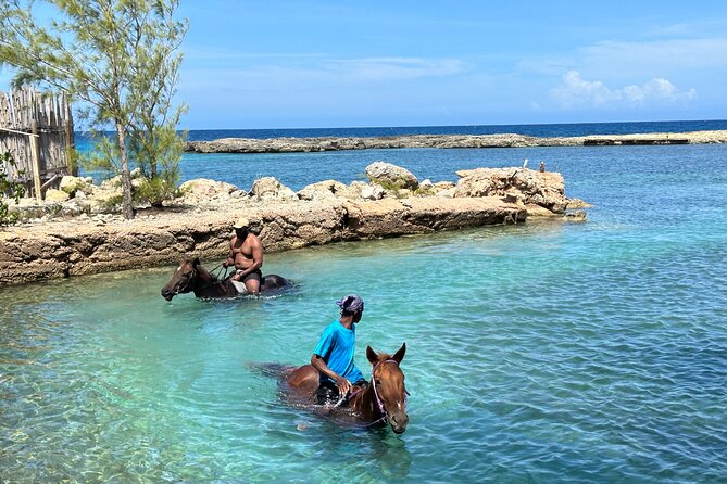 Horseback Ride and Swim Tour In Montego Bay - Lunch, shopping, and extra time