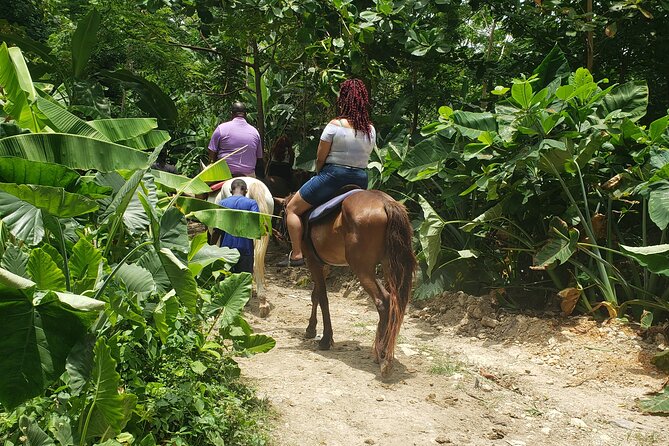 Horseback 'Ride N Swim' & Dunns River Falls from Montego Bay - A forest ride that ends in the Caribbean Sea