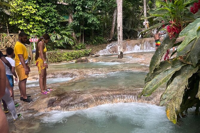 Horseback 'Ride N Swim' & Dunns River Falls from Montego Bay - Lunch, water, towels, and what to pack