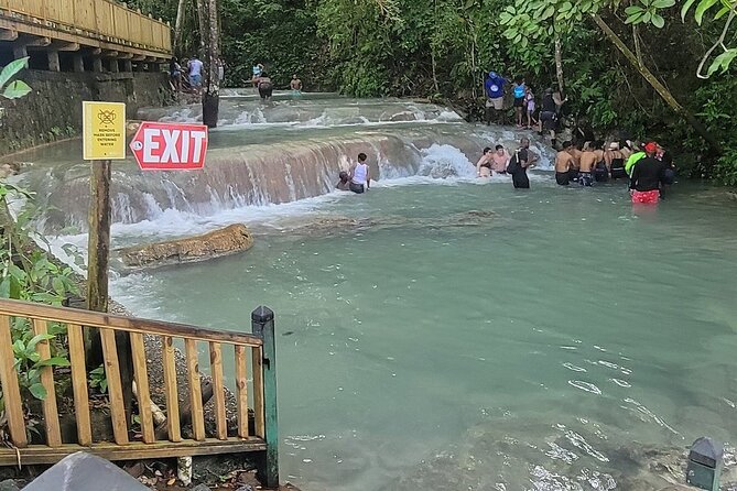 Horseback 'Ride N Swim' & Dunns River Falls from Montego Bay - What to confirm before you pay