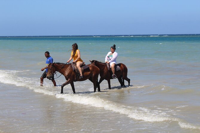 Horseback Ride & Swim Jamaica/Montego Bay - Photos, Guides, and the Feel of the Ride