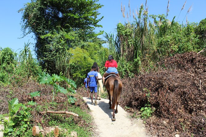 Horseback Ride & Swim Jamaica/Montego Bay - Three Hours, a Group of 13, and the $150 Price