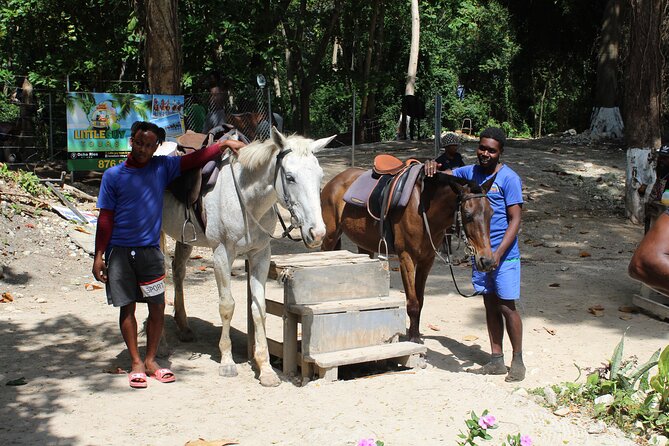 Horseback Ride & Swim Jamaica/Montego Bay - What to Bring and What to Confirm