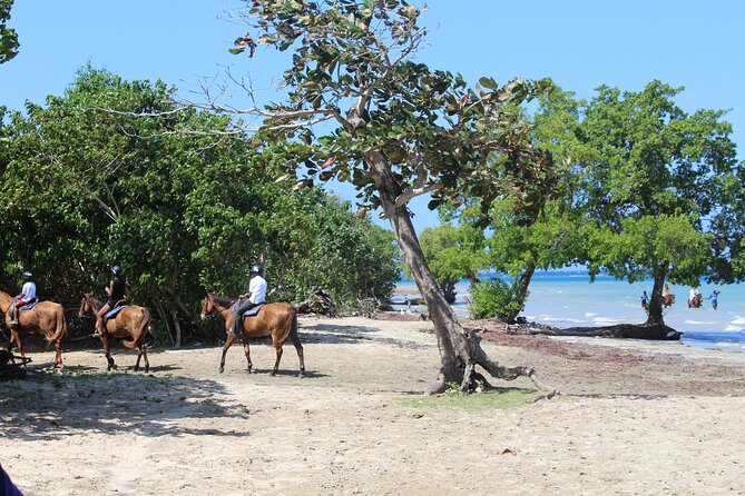Horseback Ride & Swim Jamaica/Montego Bay - Should You Book the Horseback Ride and Swim?