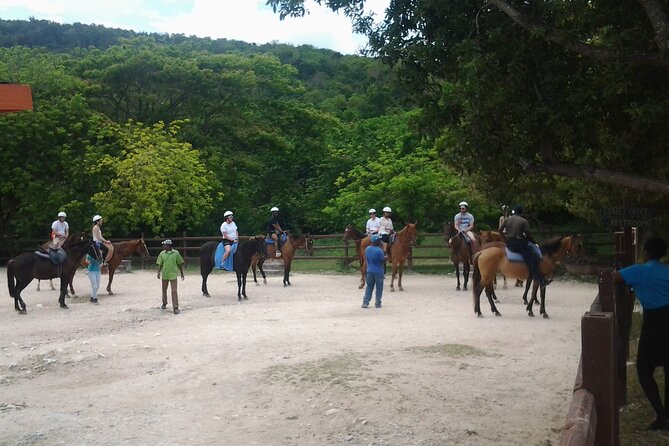 Horseback Riding Dunn's River Falls Adventure from Montego Bay - Dunn’s River Falls as the second half of the day