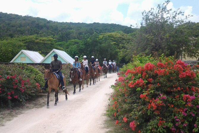 Horseback Riding Dunn's River Falls Adventure from Montego Bay - Horse welfare is the key question