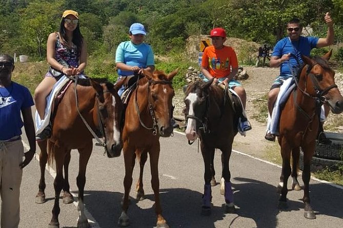 Horseback Riding from Montego Bay - What the guides add to the day