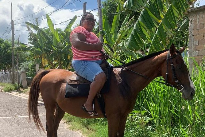Horseback Riding from Montego Bay - A private tour for couples, families, and small groups