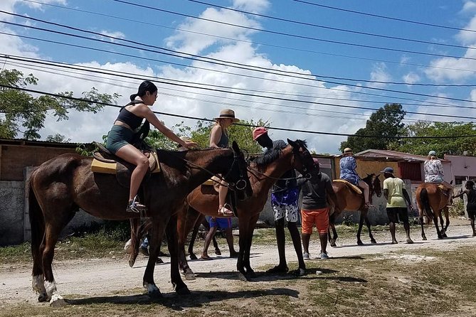 Horseback Riding from Montego Bay - Is $200 a fair price?