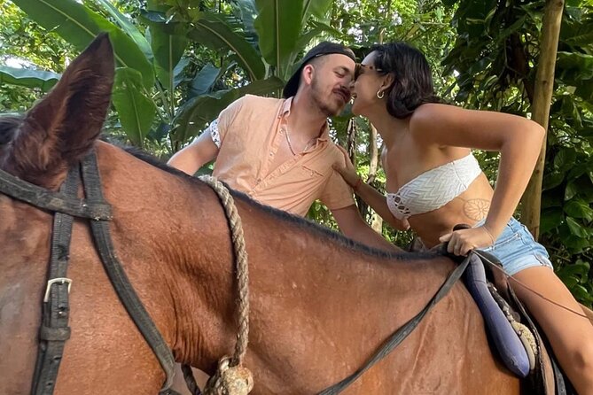 Horseback Riding In The Ocean from Montego Bay Private Transfer - Weather, cancellation, and timing