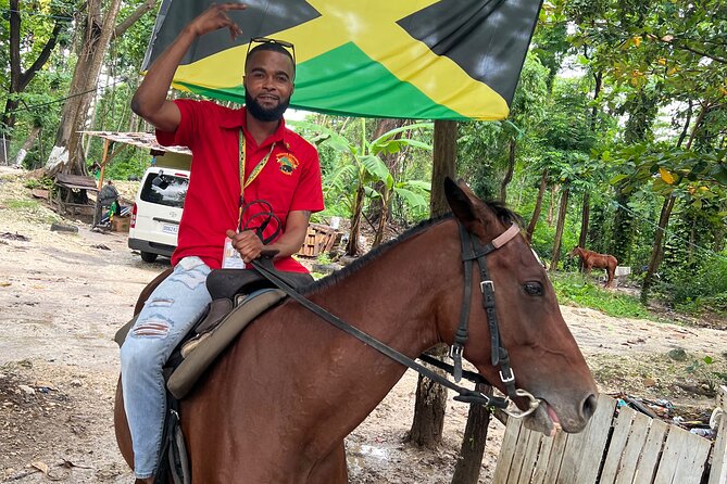 Horseback Riding In The Ocean from Montego Bay Private Transfer - A private transfer changes the feel of the day