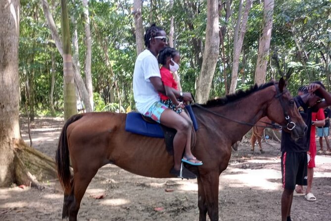 Horseback Riding plus Dunns River Falls Combo Private Tour - Who should book this tour?