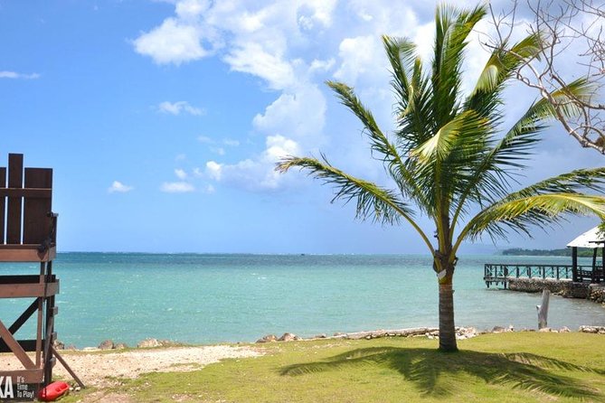 Horseback Riding/Zipline Combo Tour at Chukka Ocean Outpost with Transportation - What the horseback portion is really like