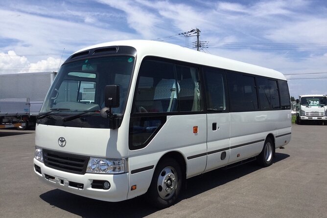 Hyatt Zilara Rose Hall Resort Private Airport Transfer - Leaving Sangster Airport Without the Usual Fuss