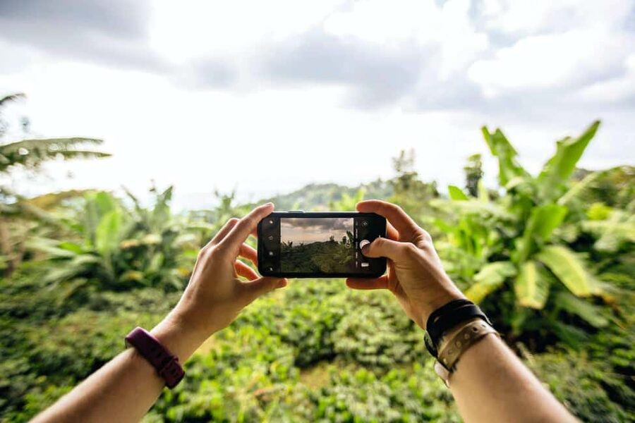 Jamaica: Blue Mountains Full Day Tour with Brunch & Lunch - From Montego Bay to Jamaica’s high country
