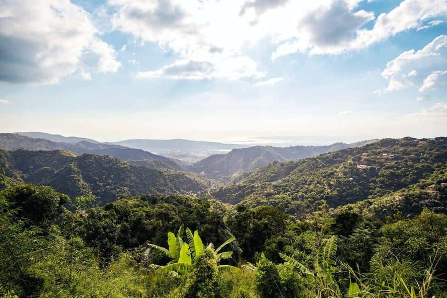 Jamaica: Blue Mountains Full Day Tour with Brunch & Lunch - What makes the coffee visit worthwhile