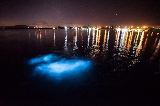 Jamaica Luminous Lagoon Private Tour with Transportation - What the $128.99 price really covers
