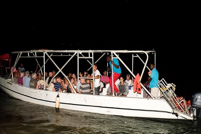 Jamaica Super Saver: Montego Bay & Rose Hall plus Mystic Lagoon Night Cruise - Luminous Lagoon saves the evening