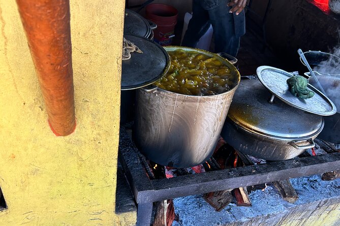 Jamaican Countryside Food Tasting Tour from Montego Bay - What the $134.99 Price Really Covers