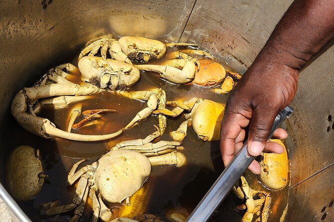 Jamaican Street Food and Rum Tasting Private Tour - George’s guiding style and the value of a private route