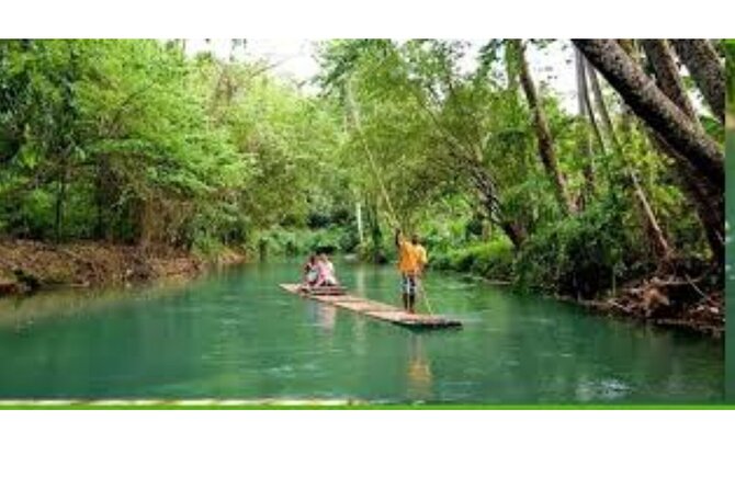 Lethe River Bamboo Rafting with Limestone Massage - Birds, Plants, and a Quieter Side of Jamaica
