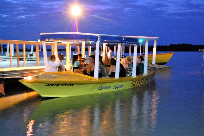 Luminous Lagoon "Glistening Waters" Tour from Grand Palladium Resorts - Why the Luminous Lagoon glows after dark