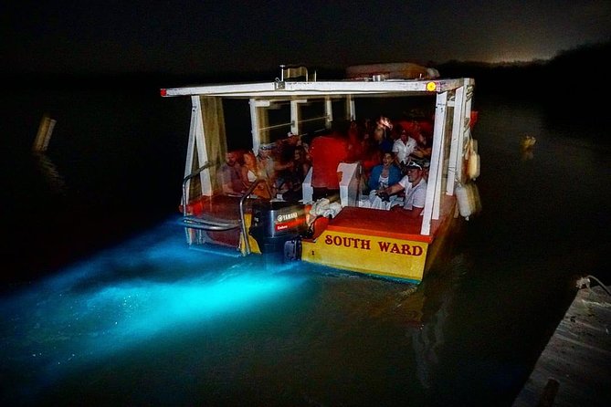 Luminous Lagoon "Glistening Waters" Tour from Grand Palladium Resorts - The drive from Grand Palladium to Falmouth
