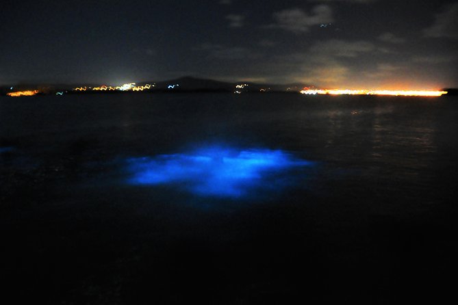 Luminous Lagoon "Glistening Waters" Tour from Grand Palladium Resorts - Who will enjoy this Jamaican evening?