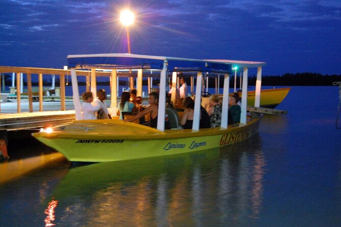 Luminous Lagoon Glow in the Dark Boat Tour from Montego Bay - What swimming in the lagoon is really like