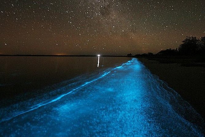 Luminous Lagoon Night-Time Tour from Montego Bay - What to pack for a smooth evening