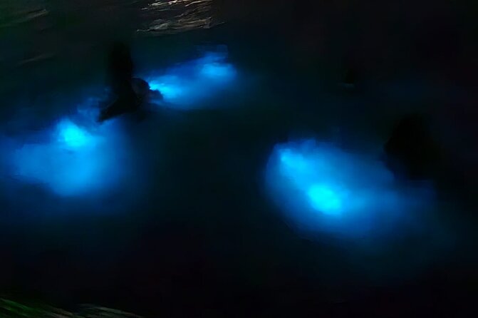 Luminous Lagoon Night Tour and Swim/Fire Dance from Montego Bay - Key points before you book