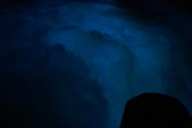Luminous Lagoon Night Tour and Swim/Fire Dance from Montego Bay - Who will enjoy this evening most?