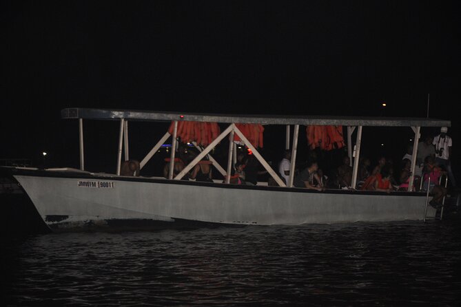 Luminous Lagoon Night Tour from Montego Bay - The blue glow at Luminous Lagoon