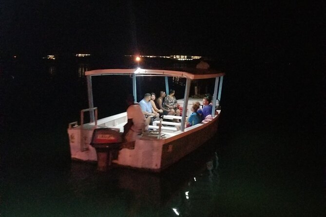 Luminous Lagoon Night Tour from Montego Bay - Weather can change the experience