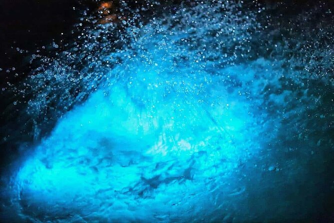 Luminous lagoon Night Tour Montego Bay - Local stories and the fire show