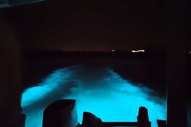 Luminous lagoon Night Tour Montego Bay - What the $75 price really covers