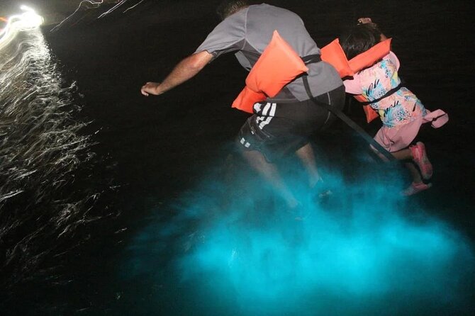 Luminous lagoon Night Tour Montego Bay - Booking details and cancellation advice