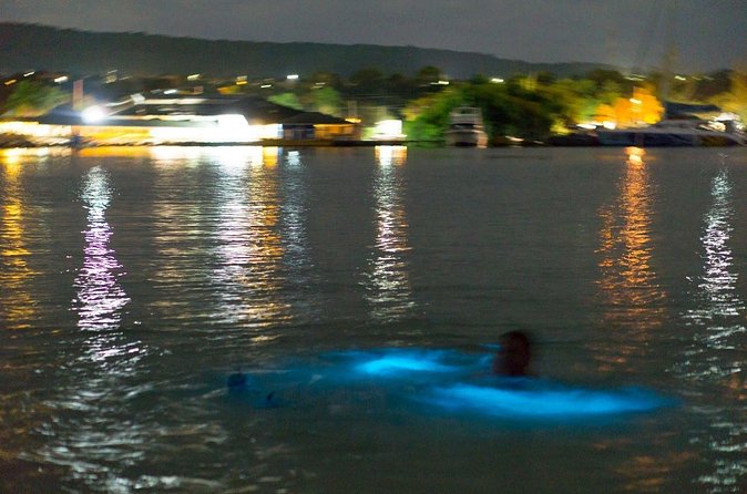 Luminous Lagoon Sightseeing Tour in Montego Bay - A local cafe instead of the busiest entrance