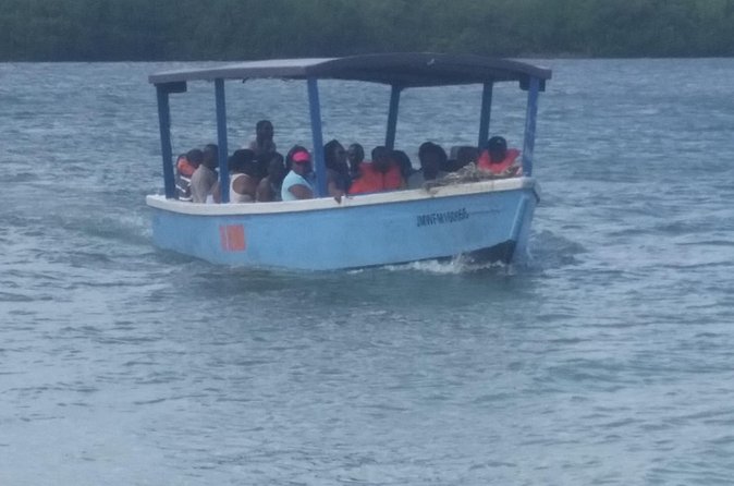 Luminous Lagoon Tour from Montego Bay & Rosehall Hotels - What the three to four hours really includes