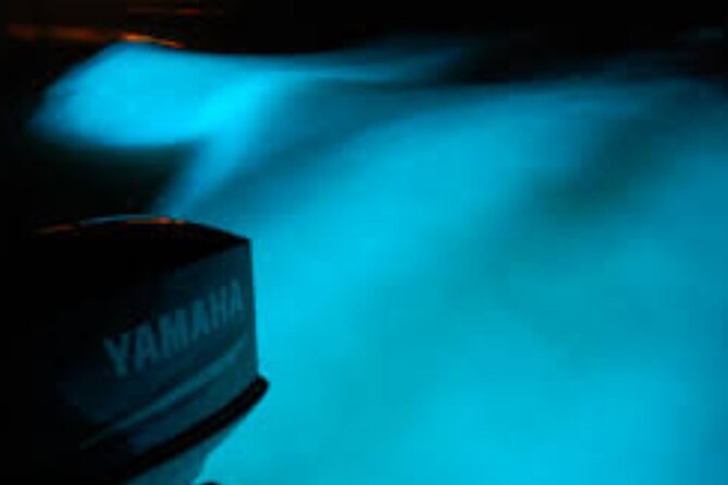 Magical Luminous Lagoon Private Tour - Timing, weather, and practical planning