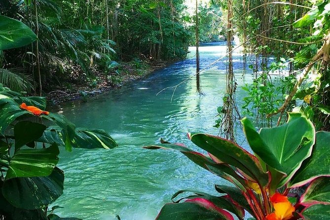 Martha Brae Rafting Adventure - The Best Fit for This Experience