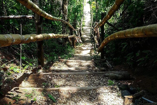 Mayfield Falls, Blue Hole & Rick's Café Tours/Weed Farm option - Why this three-stop day works
