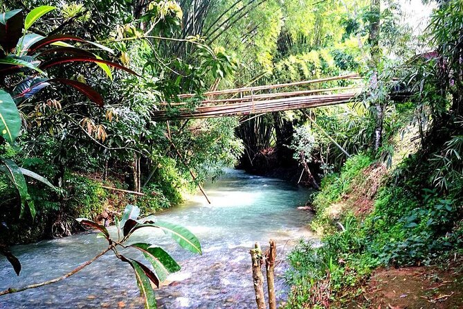 Mayfield Falls, Blue Hole & Rick's Café Tours/Weed Farm option - Blue Hole Mineral Spring: choose your own level of thrill