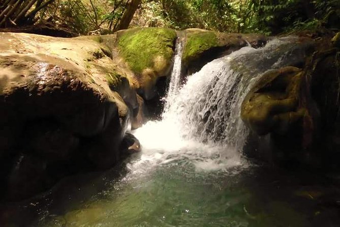 Mayfield Falls nature walk - Mayfield Falls at a glance
