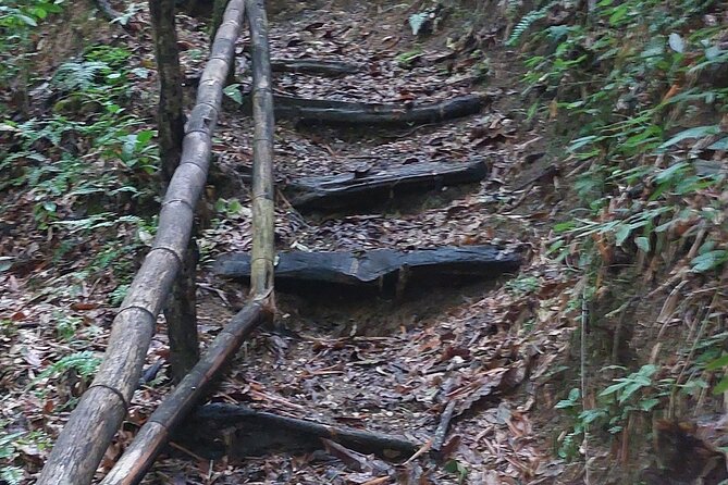Mayfield Falls nature walk - Swimming, footing, and what to pack