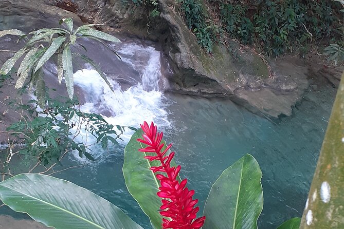 Mayfield Falls nature walk - Food and roadside stops