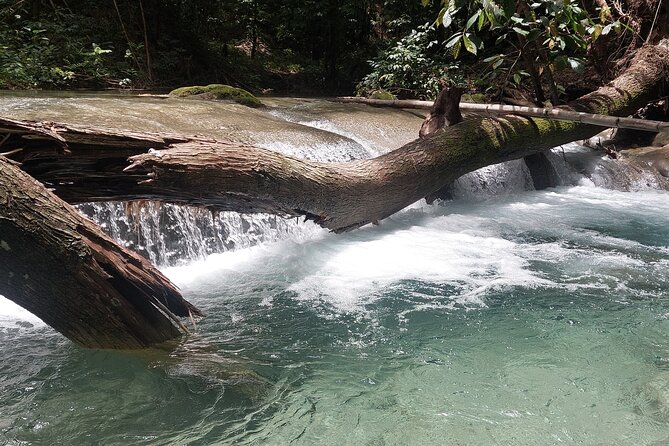 Mayfield Falls nature walk - Practical booking details