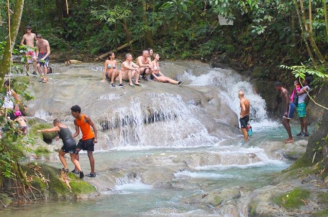 Mayfield Falls Private Tour - Should you book Mayfield Falls?